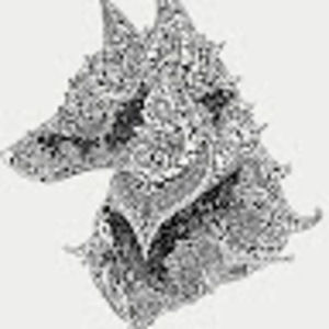 Meet your Posher, Awashna